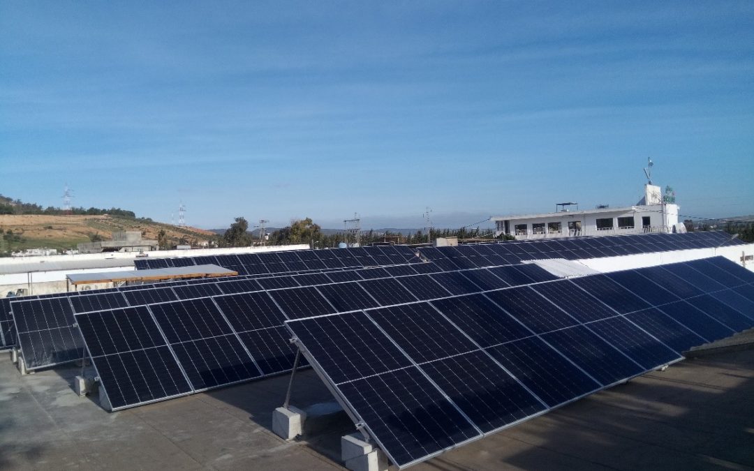 Des panneaux photovoltaïques sur le toit d’une unité de production de fromages